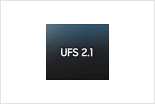 UFS2.1